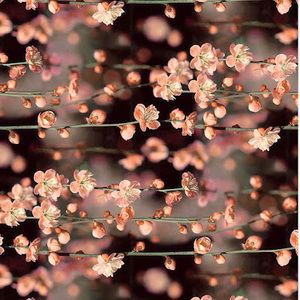 Meet your Posher, Macy